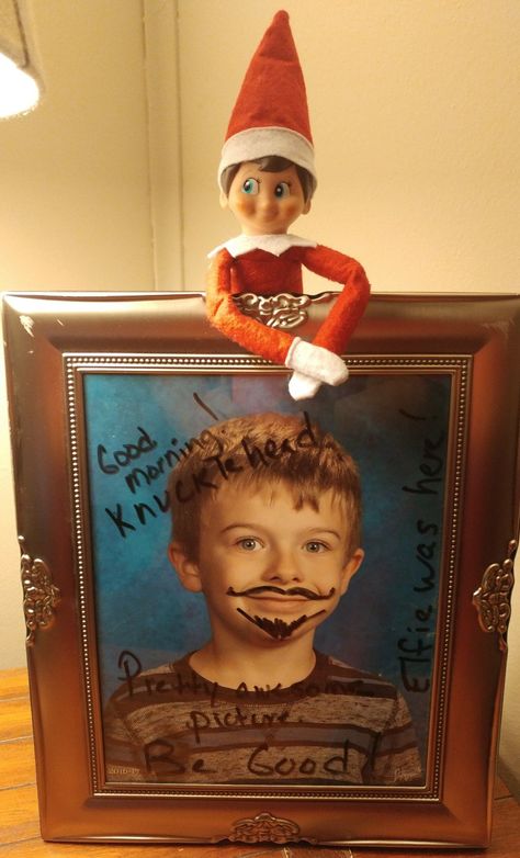 Elf on the Shelf 2016 using dry erase marker to make a funny photo Elf On The Shelf Marker On Face, Elf Writing On Face, Elfie Selfie, Mirror Writing, Elf Writing, Elf On Shelf, Elf Funny, Houston Zoo, Trendy Interior Design