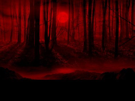 Red Aesthetic Grunge, Dark Red Wallpaper, Catty Noir, Blood Moon, Blood Red, Red Wallpaper, Red Aesthetic, Aesthetic Grunge, Black Wallpaper