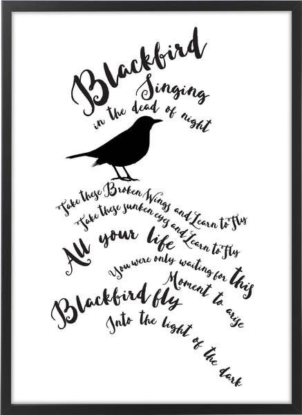 Blackbird Lyrics, The Beatles Lyrics, Other Dimensions, Blackbird Singing, Beatles Lyrics, Lyrics Poster, Broken Wings, Black Birds, Lyric Poster