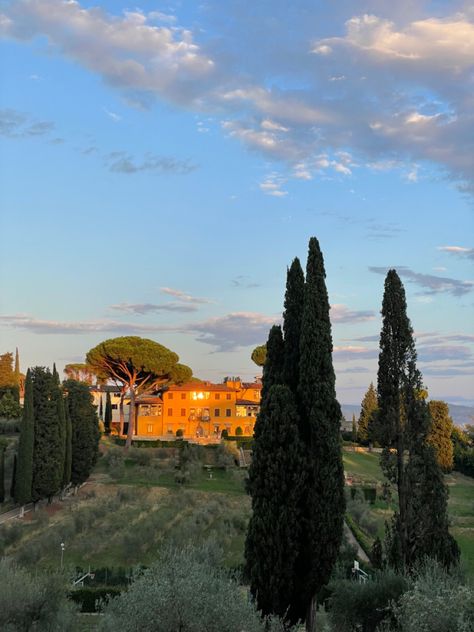 Nyu Florence, Art Landscape, Study Abroad, Florence, Tree Trunk, Natural Landmarks, Plants, Travel, Art