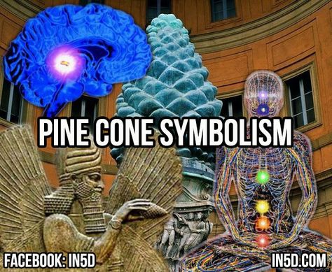 Pine Cone Symbolism Twin Flame Art, Vibrational Medicine, Pineal Gland, Symbolic Representation, Landing Page Template, Common Law, Sacred Symbols, 3rd Eye, Ancient Mysteries