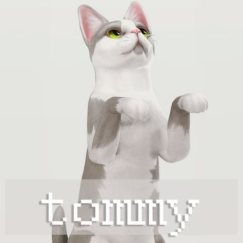 Sims 4 Animals, Strawberry Freckles, Sims 4 Cats And Dogs, Sims 4 Pet Cc, Sims 4 Pets Mod, Best Cat Breeds, Sims Pets, Sims 4 Anime, Cat Species