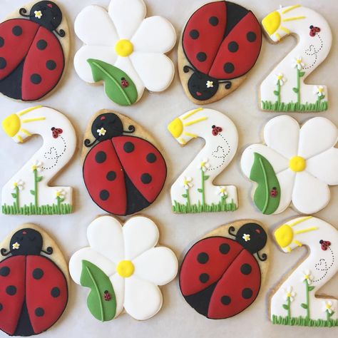 Ladybug Cookies Royal Icing, Ladybug First Birthday Party Ideas, Ladybug Sugar Cookies, Cookies For Birthday, Ladybug Cookies, 2nd Birthday Party For Girl, Ladybug Birthday Party, Minion Birthday Party, Ladybug Birthday