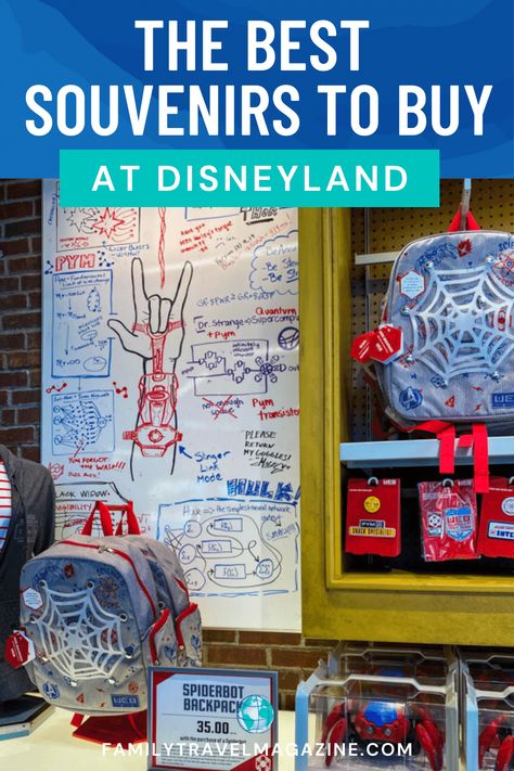 Disneyland Souvenirs, Disneyland Shop, Disneyland 2023, Cheap Stuff To Buy, Disneyland Gifts, Kid Friendly Vacations, Disneyland Secrets, Best Souvenirs, Disney Souvenirs