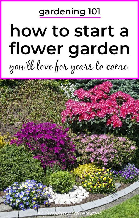 Garden Ideas For Beginners, Flower Garden Layouts, Flower Garden Ideas, Backyard Flowers Garden, Start A Garden, Flower Garden Plans, Garden Flower Beds, You Perfect, Perennial Shrubs