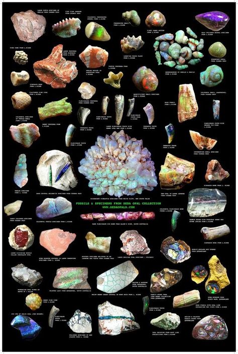 Types Of Rocks, Gemstones Chart, Rocks And Fossils, Pretty Rocks, Cool Rocks, Beautiful Rocks, Mineral Stone, Minerals And Gemstones, Rocks And Gems