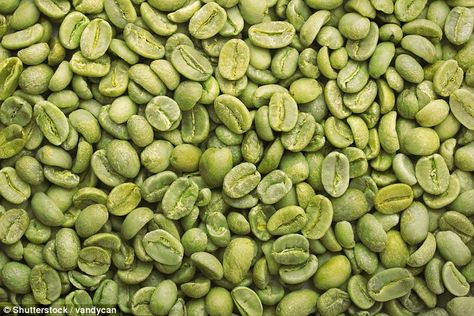 A nutritionist claims enjoying the brew could help you lose weight - because it's packed full of fat-fighting compounds Jamaican Blue Mountain Coffee, Raw Coffee Beans, Blue Mountain Coffee, Green Coffee Bean Extract, Coffee Health Benefits, Healthy Coffee, Green Coffee Bean, Coffee Brewer, Gourmet Coffee