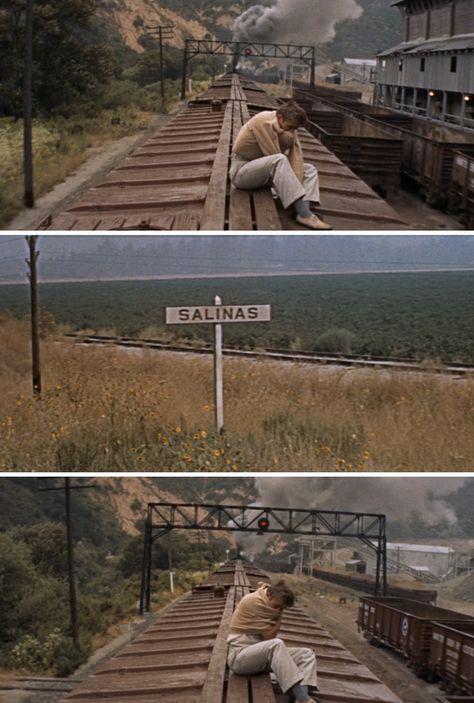 James Dean in East of Eden (Elia Kazan, 1955) James Dean Aesthetic Wallpaper, East Of Eden Tattoo, East Of Eden Aesthetic, James Dean East Of Eden, East Of Eden John Steinbeck, East Of Eden Movie, James Dean Portrait, James Dean Movies, James Dean Camera