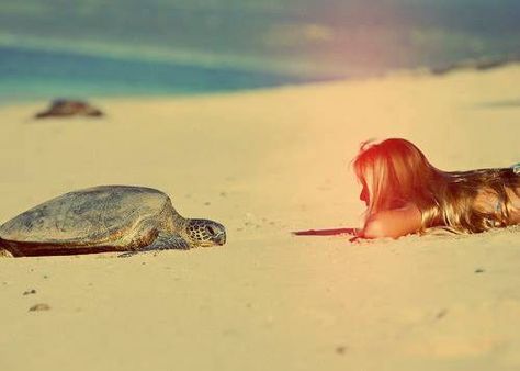 Spread the Word! Turtle Love, A Turtle, Foto Ideas Instagram, Summer Feeling, Summer Dream, Beach Babe, Beach Vibe, Island Life, Instagram Foto