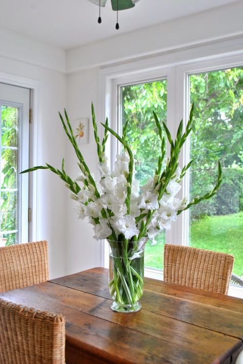 Gladiolus Gladiolus In Vase, Gladioli Flower Arrangements, Gladiolus Flower Arrangements, Gladiolus Wedding, Gladiolus Arrangements, Modern Wedding Centerpieces, Home Flower Decor, Gladiolus Flower, Clear Vase