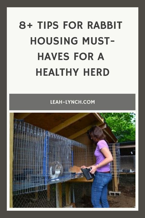 8 Essential Tips For Setting Up The Perfect Rabbitry! Creating a healthy living area for your rabbits is easier than you might think! From safety to temperature, these 8 tips will provide the best living conditions for your rabbits. Rabbit Colony Set Up, Rabbitry Setup Ideas, Rabbitry Setup, Rabbit Setup, Rabbit Colony, Rabbit Hutch Outdoor, Rabbit Farming, French Lop, Homesteading Diy Projects