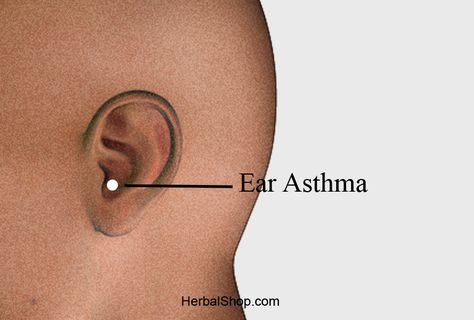 Name: Ear-asthma (asthma control point)  Location:  at apex of antitragus.  Benefits:  asthma, bronchitis, and shortness of breath.  To activate your body’s self-healing power, first locate of the acupressure points that you need to work on for your specific needs. Apply firm pressure is the most fundamental technique. Use thumbs, fingers, palms, the side of the hand, Ear Reflexology, Vapo Rub, Acupressure Point, Asthma Inhaler, Reflexology Chart, Types Of Diseases, Holistic Health Remedies, Pointed Ears, Vintage Pop Art