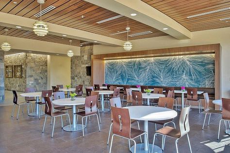 Café in the Pines! Hospital Cafeteria, University Cafeteria, Office Cafeteria, Cafeteria Design, Work Cafe, Community Hospital, Hospital Interior, School Interior, Good Samaritan