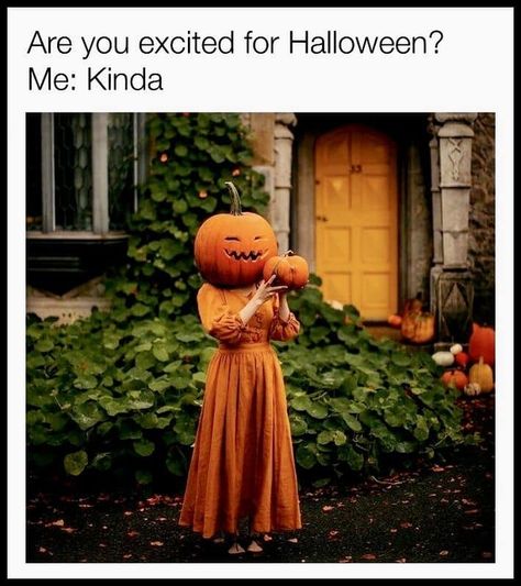 August Halloween, Fall Memes, Halloween Memes, Halloween 2022, Cozy Season, Autumn Quotes, Halloween Quotes, Fall Aesthetic, Samhain