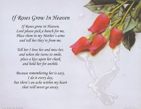 Poem If Roses Grow in Heaven | Etsy UK Dove Background, If Roses Grow In Heaven, Poems About Stars, Heaven Poems, Prayer Photos, Inspirational Poems, I Am Amazing, Poems Beautiful, Clear Bag