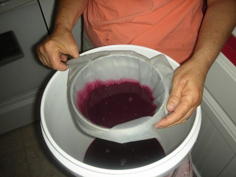 Easy Wine Recipes, Grape Wine Recipe, Making Wine From Grapes, Homemade Wine Recipes, Muscadine Wine, Homemade Liquor, Grape Wine, Grape Recipes, Pinot Noir Wine