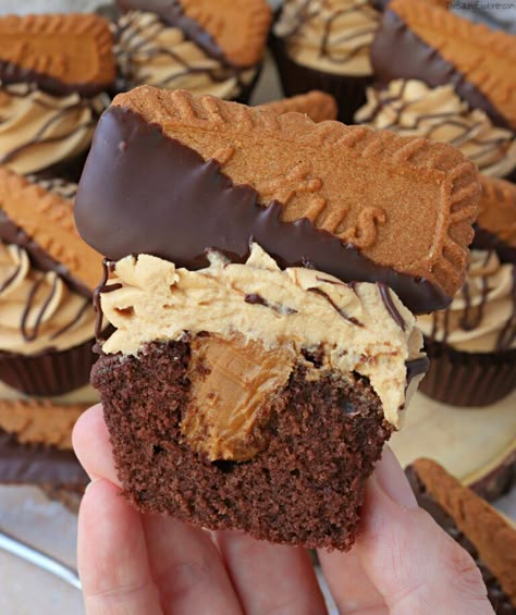 Chocolate Biscoff Cupcakes, Chocolate Food Recipes, Chocolate Biscoff Cake, Loaf Cake Ideas, Biscoff Buttercream, Biscoff Cupcakes, Biscoff Cake, Biscoff Recipes, Cupcake Inspiration