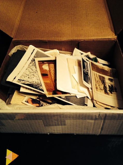 Photo Preservation, Box Of Photos, Organizing Photos, Organize Photos, Photo Storage Box, Genealogy Organization, Memories Photo, Picture Organization, Family History Book