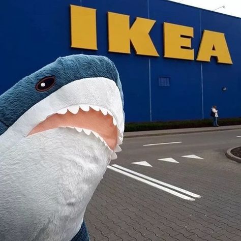 Ikea Shark Plush, Shark Plushies, Blahaj Shark, Stuffed Shark, Ikea Plushies, Ikea Shark, Shark Board, Shark Things, Silly Sharks