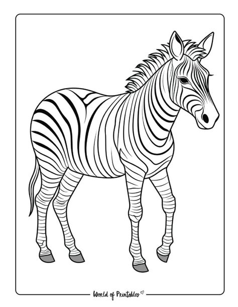 Animal Coloring Pages For Kids & Adults - World of Printables Zebra Coloring Pages, Animal Coloring Pages For Kids, Peacock Coloring Pages, Zebra Drawing, Penguin Coloring Pages, Elephant Coloring Page, Puppy Coloring Pages, Shark Coloring Pages, Fish Coloring Page