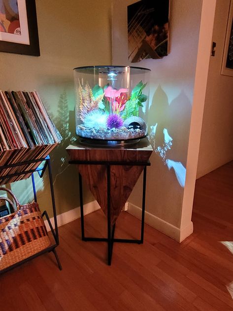 AmazonSmile: biOrb Tube 15 Aquarium with LED - 4 Gallon, White : Everything Else Side Table, Led, White