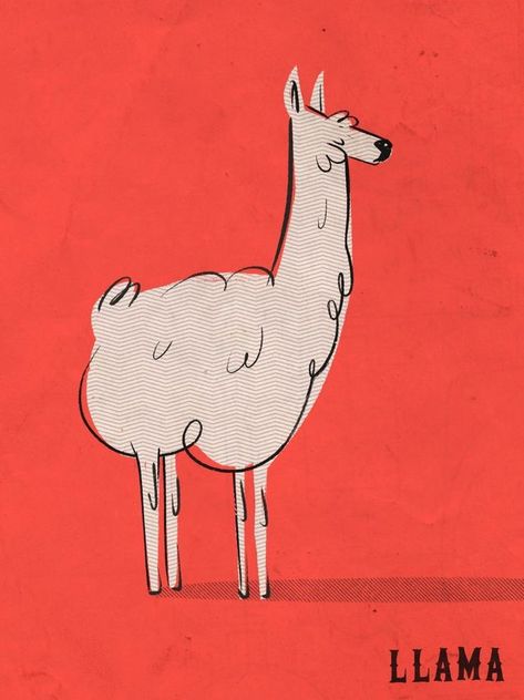 Llama Illustration Art, Llama Character Design, Alpaca Illustration, Llama Illustration, Llama Drawing, Stamp Drawing, Sheep Logo, Adobe Illustrator Tutorial, Story Books Illustrations