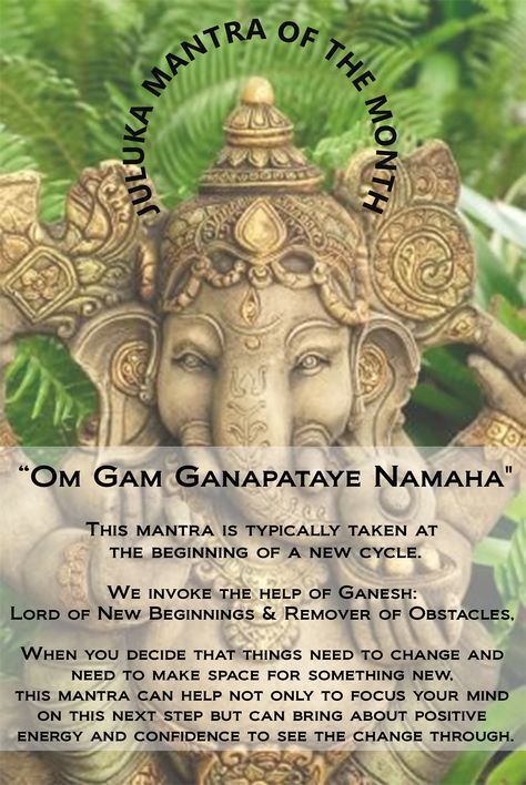 Juluka's January 2015 Mantra of the Month is: "Om Gam Ganapataye Namaha" evoking the power of Ganesh to help us bust through those obstacles and help us with new beginnings! #julukamantra #mantra #yoga #juluka #ganeshmantra Ganesh Mudra, Ganesh Quotes, Ganesha Meaning, Lakshmi Mantra, Ganesh Mantra, Om Gam Ganapataye Namaha, Mantra Yoga, Om Mantra, Sanskrit Mantra