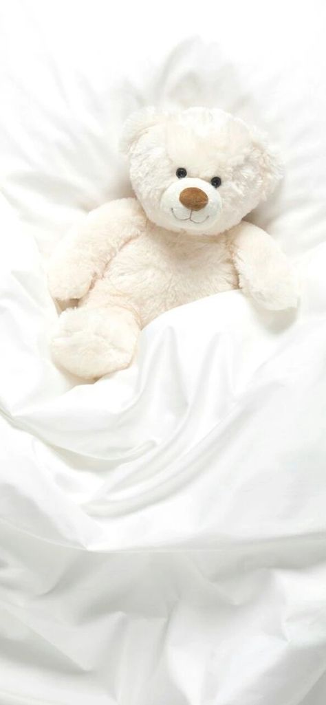 Fine Art America, Iphone Wallpaper, Teddy Bear, Fine Art, Iphone, Bed, Wall Art, Wall, Pins