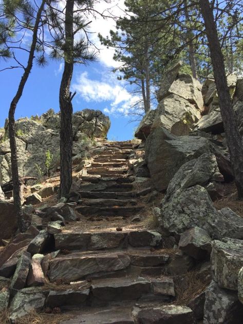 There are a few tough sections, including this spot where you'll climb some stairs set into the mountain. South Dakota Road Trip, South Dakota Vacation, South Dakota Travel, Wind Cave National Park, Black Hills South Dakota, Yellowstone Trip, Custer State Park, National Park Vacation, Summer Road Trip