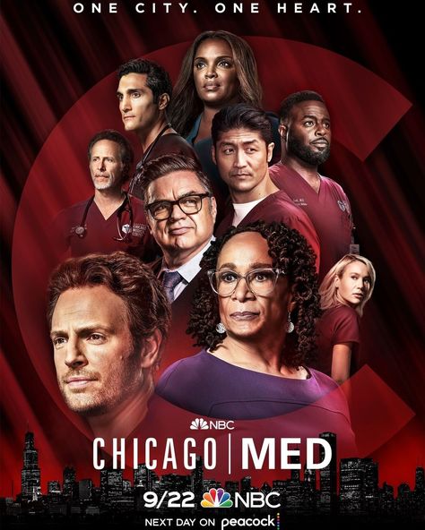 Oliver Platt, Watch Free Tv Shows, One Chicago, Chicago Poster, Tv Series To Watch, Free Tv Shows, Chicago Shows, Chicago Med, Special Victims Unit