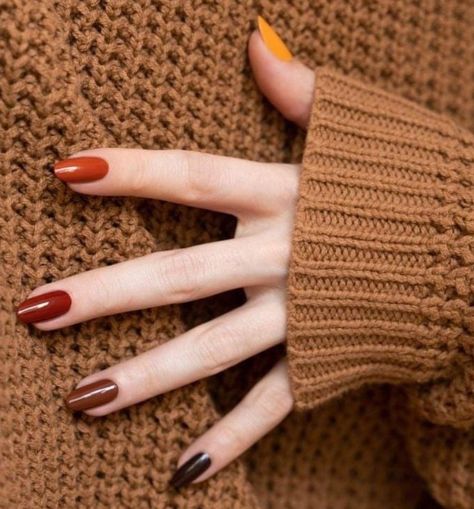 Pose Mode, Fun Nail Colors, Nagellack Trends, Fall Gel Nails, October Nails, Cute Nails For Fall, Her Nails, Fall Nail Art, Fall Nail Colors