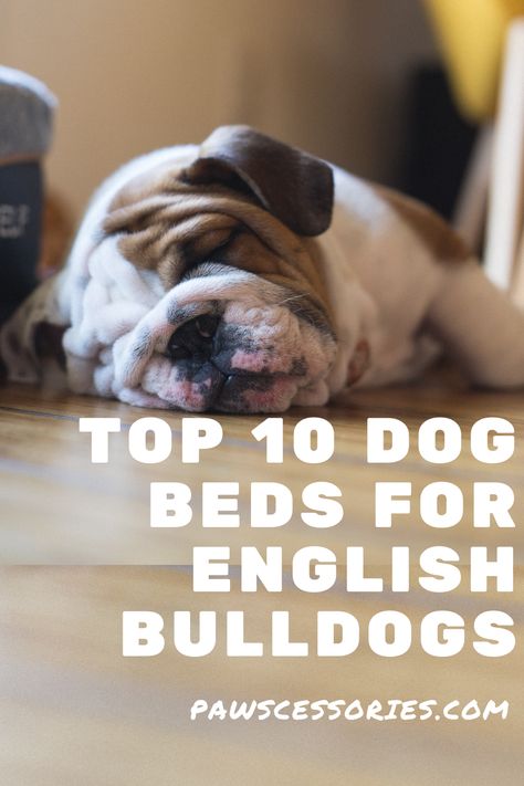 Bulldog Beds English, English Bulldog Clothes, English Bulldog Care, Dog Breeds That Dont Shed, Bulldog Clothes, Dog Bed Modern, Dog Collar Charms, Waterproof Dog Bed, Velvet Dog Collar