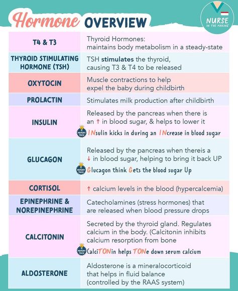 Complete Nursing School Bundle, Endocrine System Nursing, Nursing School Bundle, Nursing School Studying Cheat Sheets, Memory Tricks, Nursing School Essential, Nursing Study Guide, Nursing School Motivation, Medical School Life