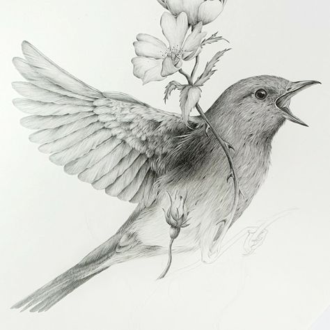 Nightingale Tattoo, Songbird Tattoo, Nightingale Bird, Mandela Tattoo, Vogel Tattoo, Magic Runes, Animal Tattoo Ideas, Graphite Art, White Ink Tattoo