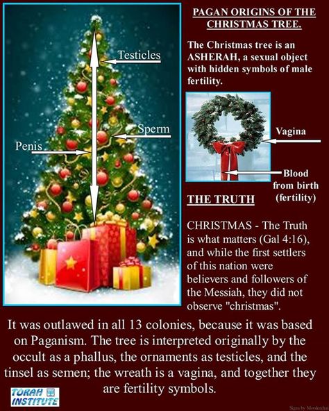 CHRISTMAS_Nimrod_Sun_King  means Christmas Tree Meaning, Tree Meanings, Origin Of Christmas, Pagan Traditions, Pagan Christmas, Pagan Holidays, Biblical Stories, Fertility Symbols, Revelation Bible