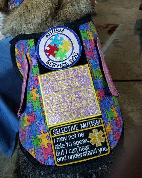 Golden Retriever Service Dog, Bday Hair, Dog Bedroom, Service Dog Patches, Ap Psychology, Service Dogs Gear, Service Dog Training, Service Dog Vests, Dog Vests