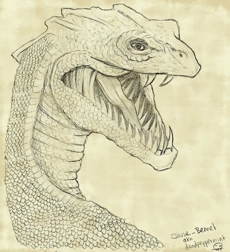 Pour la semaine 4 juin Basilisk Drawing, Dnd Basilisk, Basilisk Snake, Harry Potter Magical Creatures Drawings, Harry Potter Animals Drawings, Chamber Of Secrets Basilisk, Basilisk Art, Basilisk Harry Potter Drawing, Harry Potter Sketches