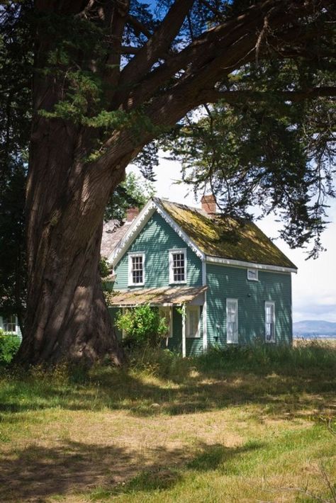 Haus Am See, Cottage By The Sea, Green Field, Cottage Cabin, Dream Cottage, Coastal Farmhouse, Cabins And Cottages, Cottage Living, Garden Cottage