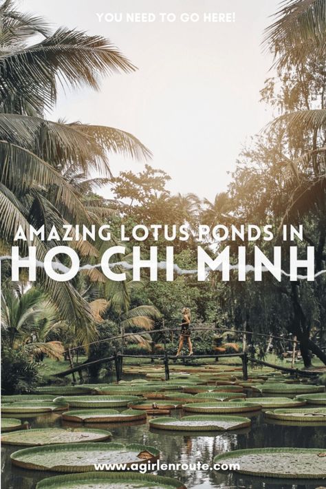 You Won’t Believe These Lotus Ponds & Gigantic Lily Pads Are In Ho Chi Minh City – A Girl En Route Packing Vietnam, Hi Chi Minh City, Vietnam Ho Chi Minh City, Hi Chi Minh, Vietnam Honeymoon, Adventure Fund, Vietnam Vacation, Vietnam Trip, Dreamy Destinations