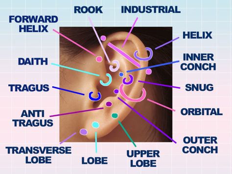 Ear piercings 101: All the different types, proper names and the pain rating  - Sugarscape.com Pericings And Names, Ear Piercings With Names, Different Ear Piercings Names, Ear Piercing Ideas Names, Names Of Ear Piercings, Most Painful Ear Piercings Chart, Ear Piercings Names, Ear Piercings Placement Chart, Piercing Names