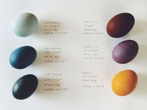 Dyeing Eggs, Natural Easter Eggs, Dyed Eggs, Naturally Dyed Easter Eggs, Photobooth Ideas, Colored Eggs, Egg Dye, Easter Egg Dye, Diy Ostern