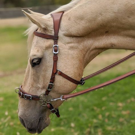 Of Equus & Us on Instagram: “Leroza Anatomique Bitless Bridle complete with my exclusive Leroza Wheel design ⚜️ #bitlessbridle #bitlessriding #equestrian #sidepull…” Horse Bitless Bridle, Bitless Horse Riding, Bitless Bridle Horse, Sidepull Bridle, Rope Bridle, Bridle Horse, Bitless Bridle, Horse Saddle Pads, Horse Games