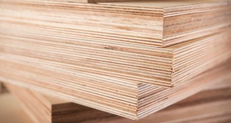 The actual thickness of plywood varies and is usually different than the nominal thickness shown at the lumber yard. 3/4" plywood is actually 21/32" thick. Types Of Plywood, Marine Grade Plywood, Plywood Projects, Plywood Thickness, Structural Insulated Panels, Marine Plywood, Woodworking School, Insulated Panels, Plywood Cabinets