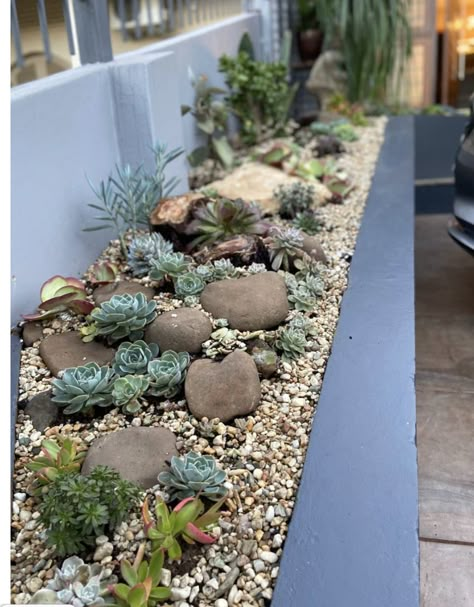 Succulents Rock Garden, Succulent Front Garden, Raised Succulent Garden Bed, Succulent Garden Outdoor Front Yards, Rock Garden Succulents Landscape Design, Succulent Landscape Design Front Yards, Succulent Garden Design Outdoors, Succulents Garden Outdoor, Succulent Garden Bed