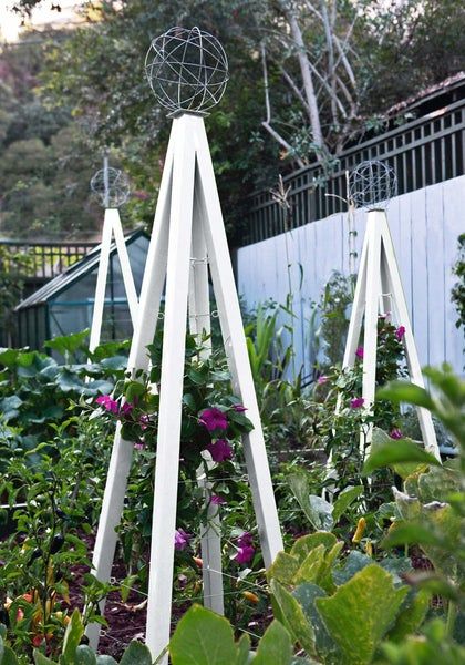 Vines Trellis, Garden Trellis Designs, Pot Trellis, Obelisk Trellis, Island Garden, Vine Trellis, Wall Trellis, Flower Trellis, Modern Trellis