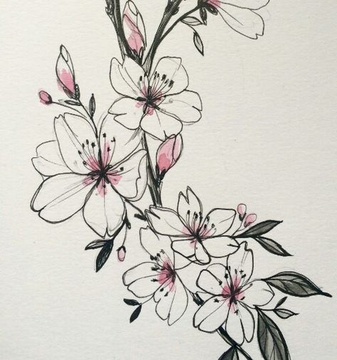 Ballet Illustration, Apricot Blossom, Blossom Tattoo, Arrow Tattoo, Watercolor Flowers Paintings, Mini Tattoos, Blossom Flower, Lotus Flower Tattoo, I Tattoo