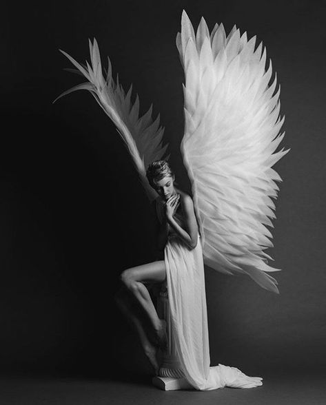 angel wings - women portraits - styled photography for women - boudoir studio pictures - lighting for indoor studio portraits - creative portraits - black and white photography - WHITNEY COLLINS PHOTOGRAPHY - The Portrait Masters - Sue Bryce Education - Photography Awards and Accreditation #suebryce #portraits #creative #photography #WHITNEYCOLLINSPHOTOGRAPHY Angel Photography Wings, Angel Wings Photography, My Account Page, Angel Photography, Black Angel Wings, Photoshoot Studio, Photography Inspiration Portrait, Black Angels, Black Wings