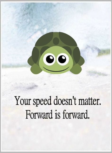 Inspirational Quotes Your Speed doesn't matter. Forward is forward. Speed Quotes, Speed Quote, Turtle Quotes, Forward Quotes, 2015 Quotes, Path Quotes, Success Quotes Motivational, Animals Quotes, Turtle Theme