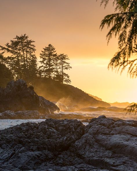 No where else offers storm... - Destination British Columbia Vancouver Island Aesthetic, British Columbia Aesthetic, French Revolution Painting, Canada Scenery, Sunrise Tattoo, Tofino British Columbia, Storm Watching, Male Inspiration, Energy Vibration