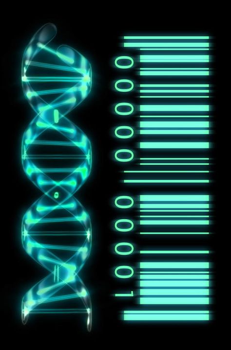 Mi profesor de biología enseña a las 9:45. Estamos aprendiendo sobre el ADN… Microbiology Study, Dna Art, Dna Molecule, Human Genome, Human Dna, Mystery Boxes, Forensic Science, Molecular Biology, Quantum Physics